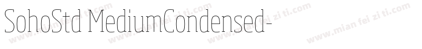 SohoStd MediumCondensed字体转换
